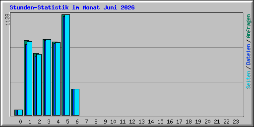 Stunden-Statistik im Monat Juni 2026